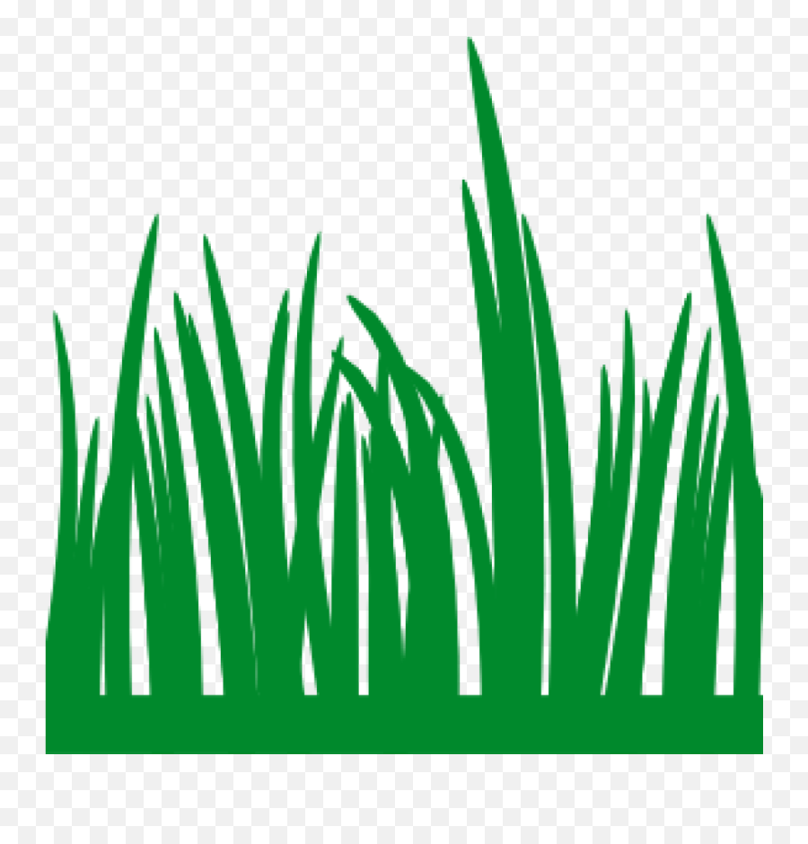 Grass Vector Png Transparent Image - Clip Art,Grass Vector Png