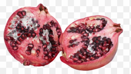 Download Pomegranate Png Free - Fruit,Pomegranate Png