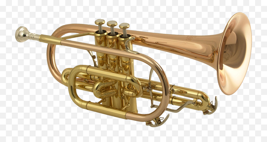 Trumpet Png Images Free Download - Trumpet Musical Instruments Clipart,Saxophone Png