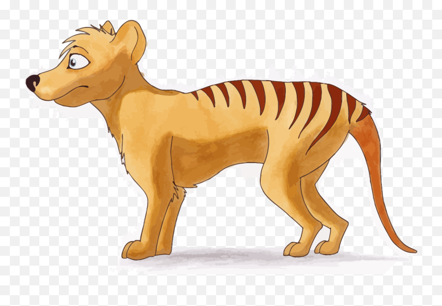 Download Tiger Side Small Clipart Png - Tasmanian Tiger Tasmanian Tiger Cartoon Drawing,Small Png
