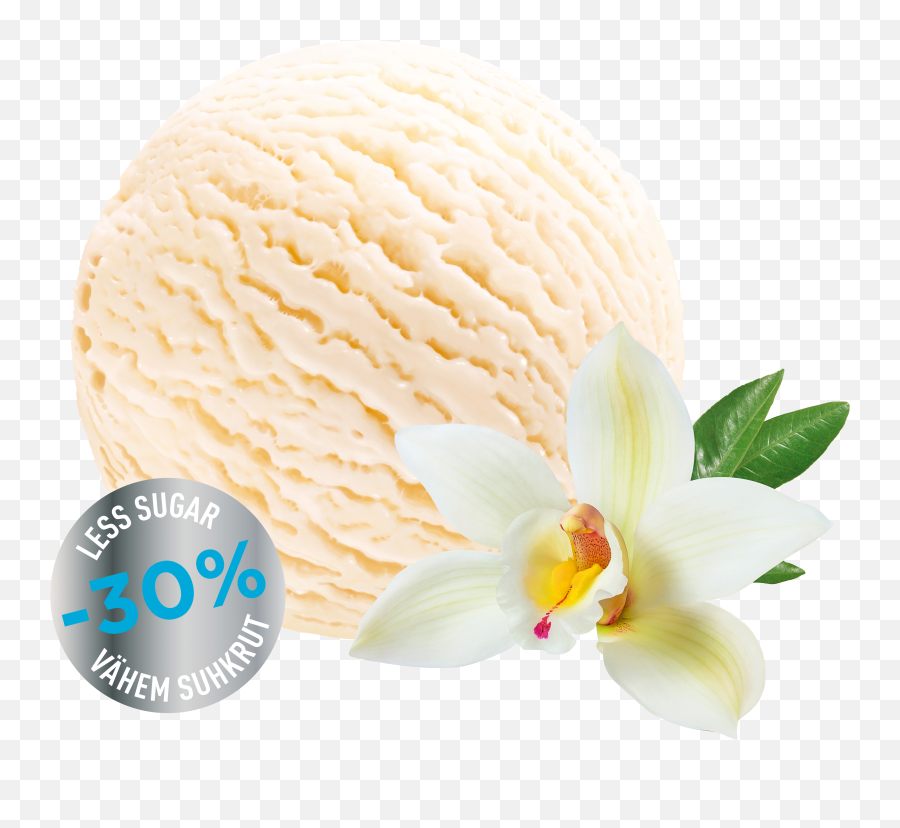 Lactose Free Reduced Sugar Vanilla Cream Ice - Balbiino Png,Vanilla Ice Cream Png