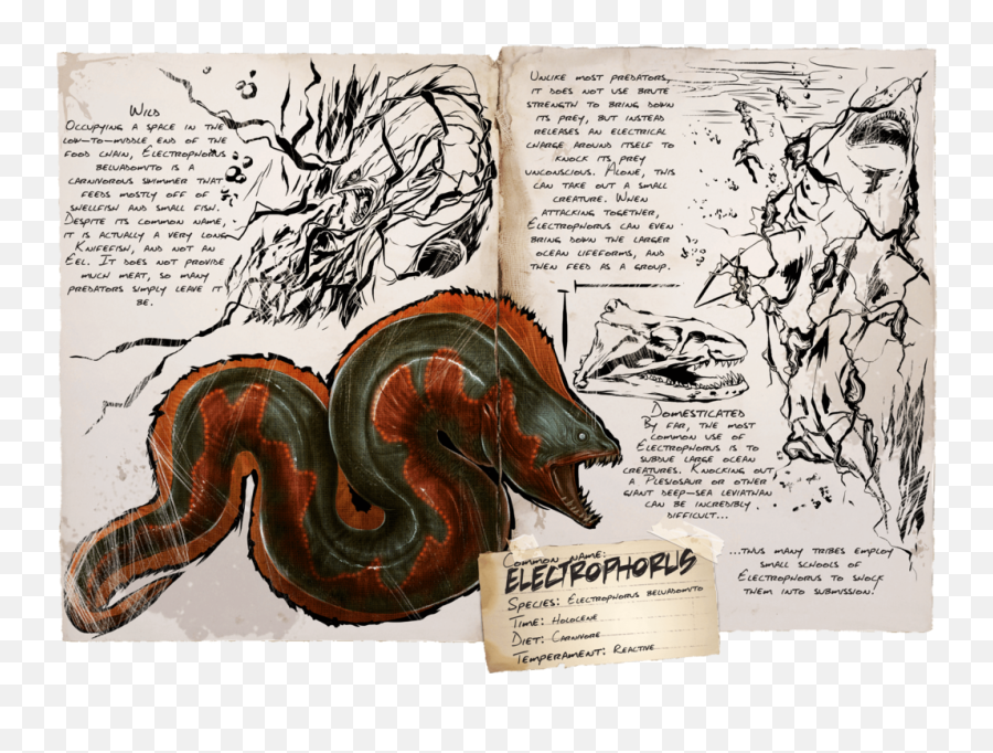 Electrophorus - Official Ark Survival Evolved Wiki Electrophorus Ark Png,Eel Png