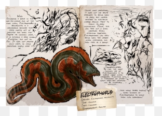 Electrophorus - Official Ark Survival Evolved Wiki Electrophorus Ark Png,Eel Png