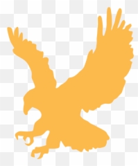 Cartoon Golden Eagle Flying Images Pictures - Clip Art png