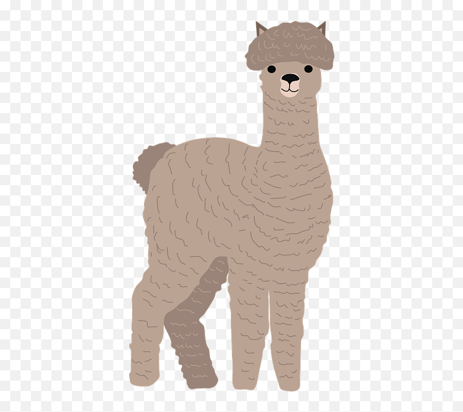 Alpaca Animal Llama - Animal Figure Png,Alpaca Png