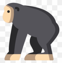 Chimpanzee - Old World Monkeys Png,Chimpanzee Png