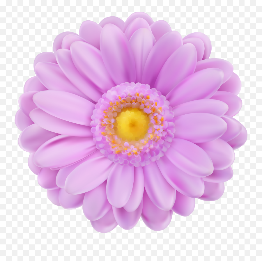 Png Purple And Pink Flowers - Transparent Purple Flower Png,Purple Flowers Png