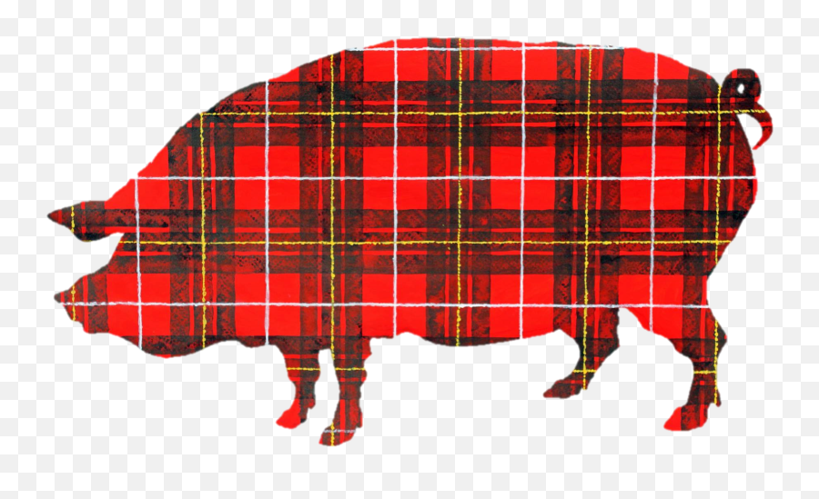 Cropped - Ppprlogo512x512nobackgroundpng Plaid Pig Pig In Tartan,Red X Transparent Background
