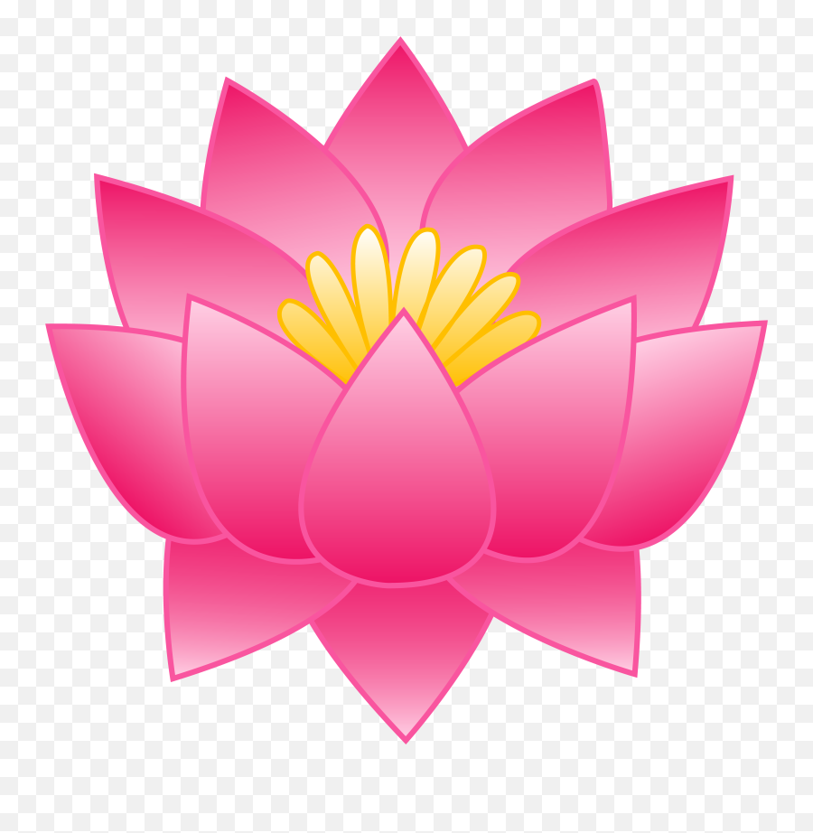 Lotus Flower With Lily Pads Images - Pink Lotus Clipart Png,Lily Pad Png