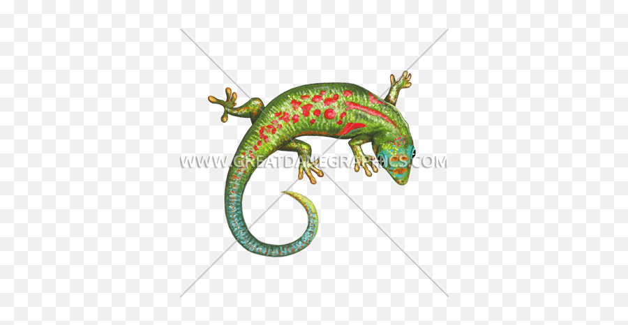 Lizard Curl Production Ready Artwork For T - Shirt Printing Common Chameleon Png,Lizard Transparent
