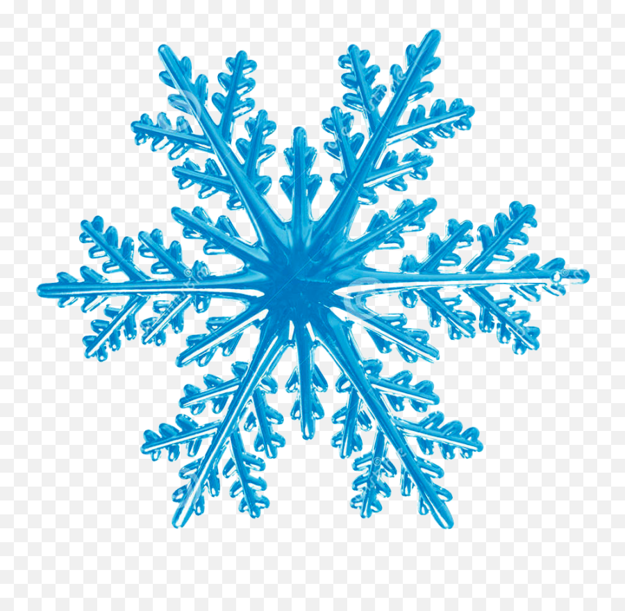 Home - Gardens Of Grace Rotational Symmetry In Nature Png,Christmas Snowflakes Png