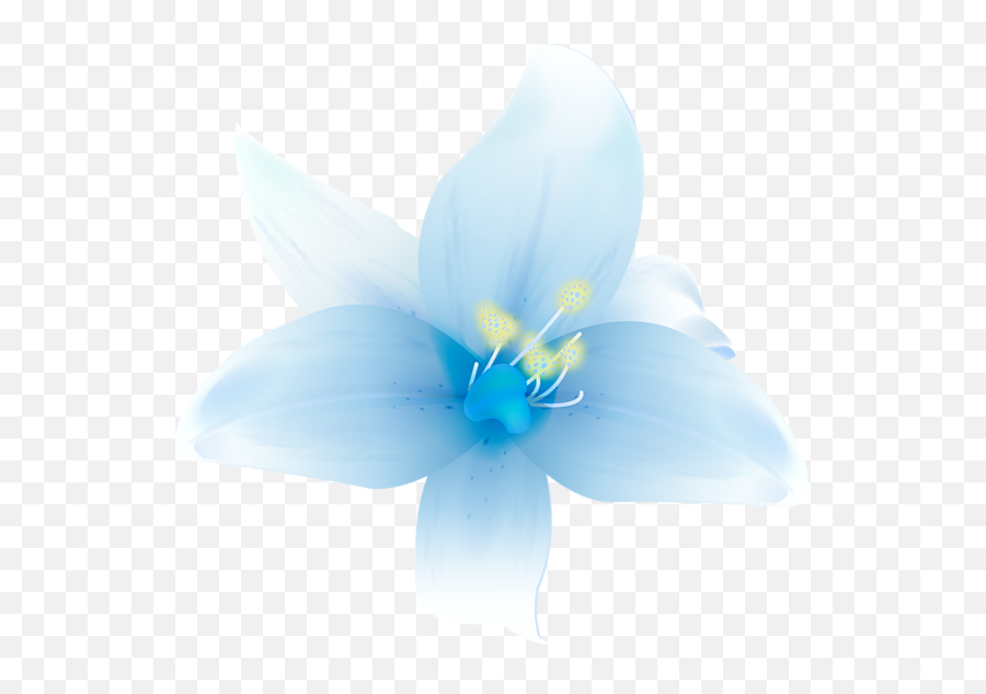 Download Hd Beautiful Flowers Png By Hanabell1 - White Blue White Beautiful Flowers Png Transparent,Blue Flowers Png