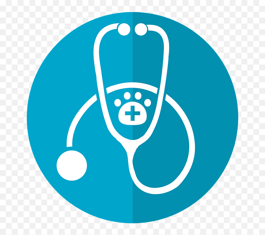 Icon Primary Care Physician Clipart - Vet Icon Transparent Png,Primary Care Icon