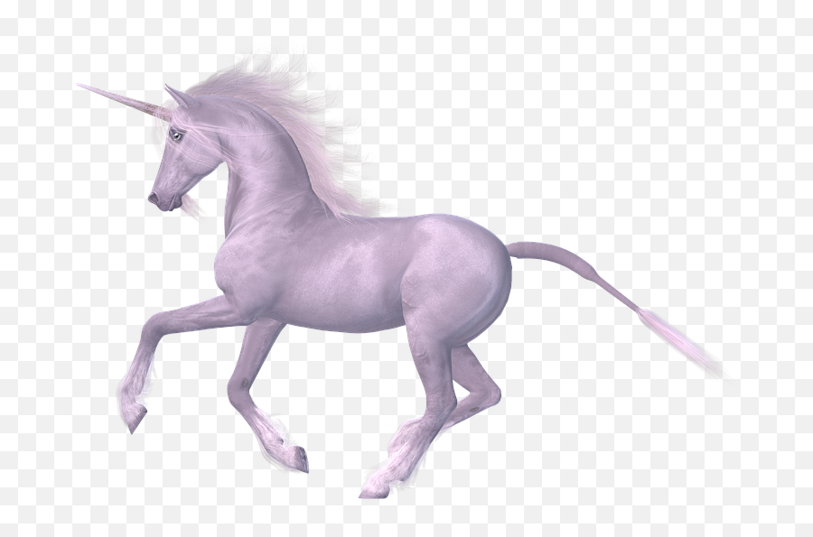 Magic Horse Unicorn Fairy - Fairy Tales Horse Png,White Horse Png