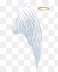 Angel Wing Aureola White Wings Halo Hq - Png