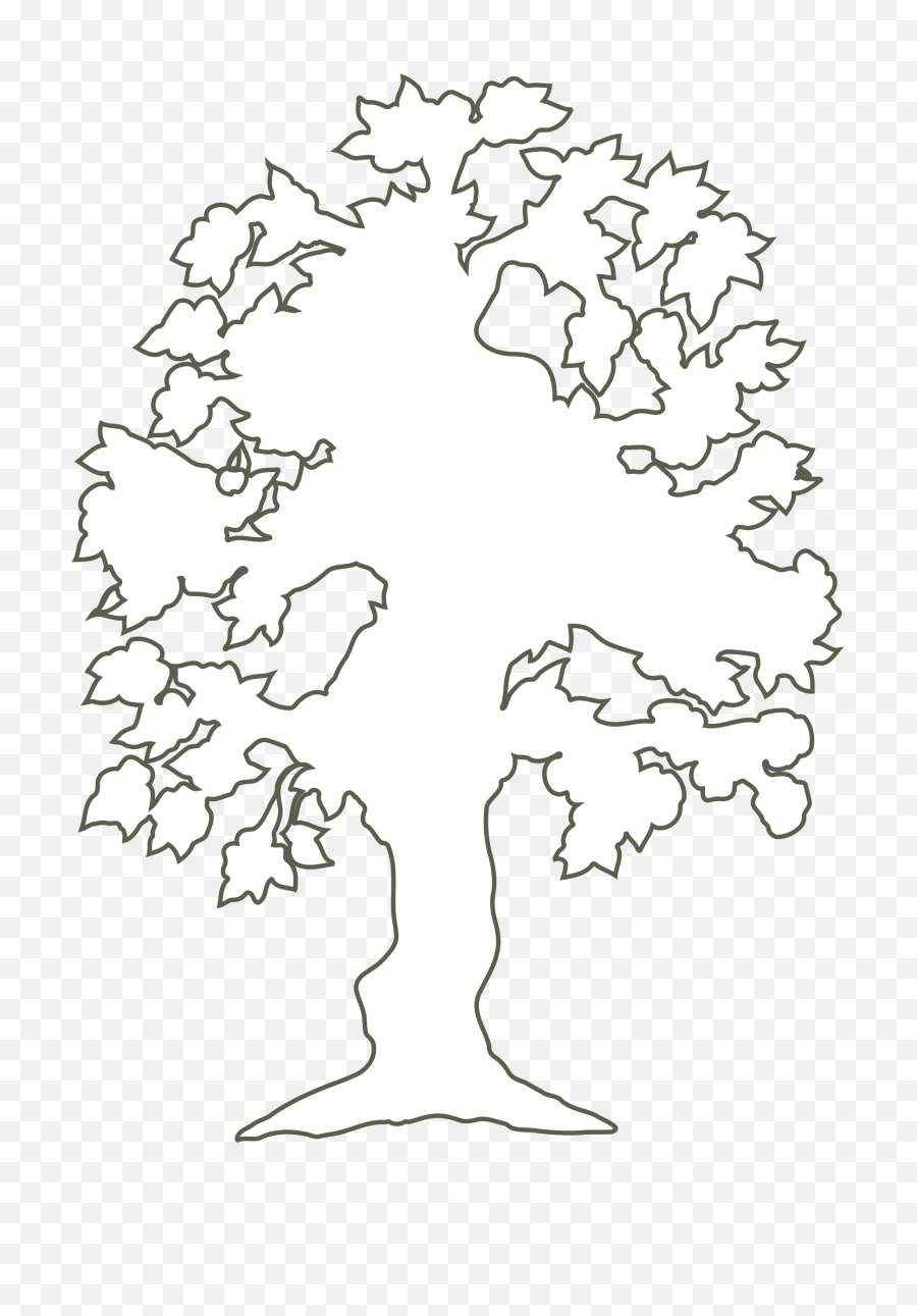 Download Clipart - White Tree Silhouette Png Full Size Png Outline Of A Tree,Tree Silhouette Png