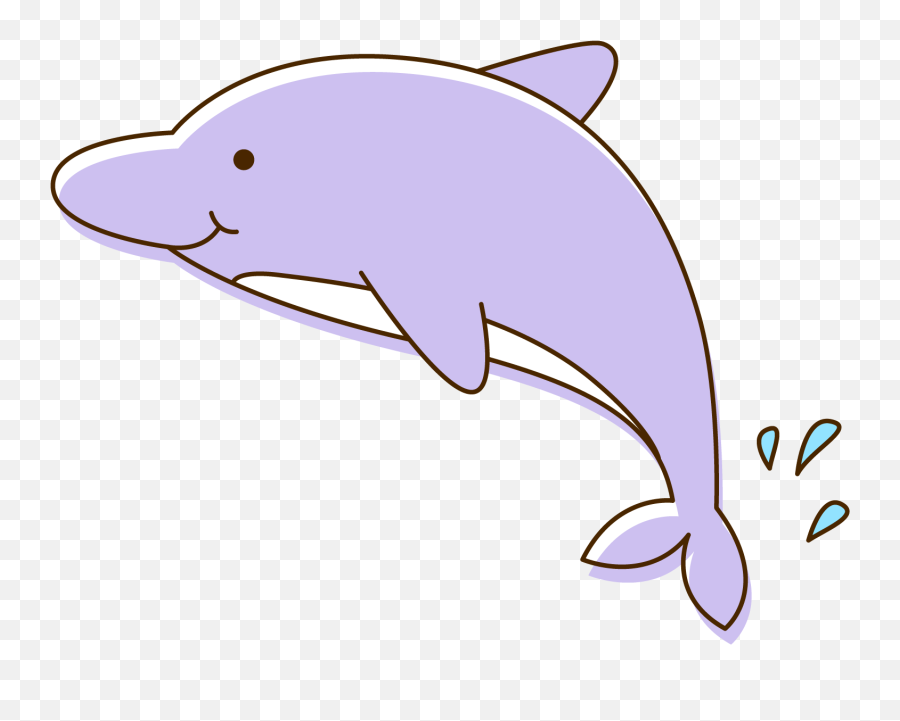 Download Hd Bottlenose Dolphin Clipart Png