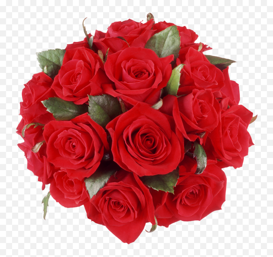 Red Roses Bouquet Png U0026 Free Bouquetpng - Bouquet Of Roses Png,Red Rose Png