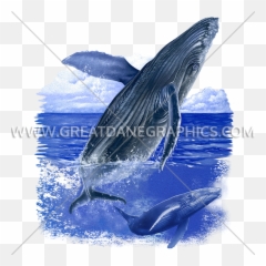 Humpback Whale Production Ready Artwork For T - Shirt Printing Png,Humpback Whale Png