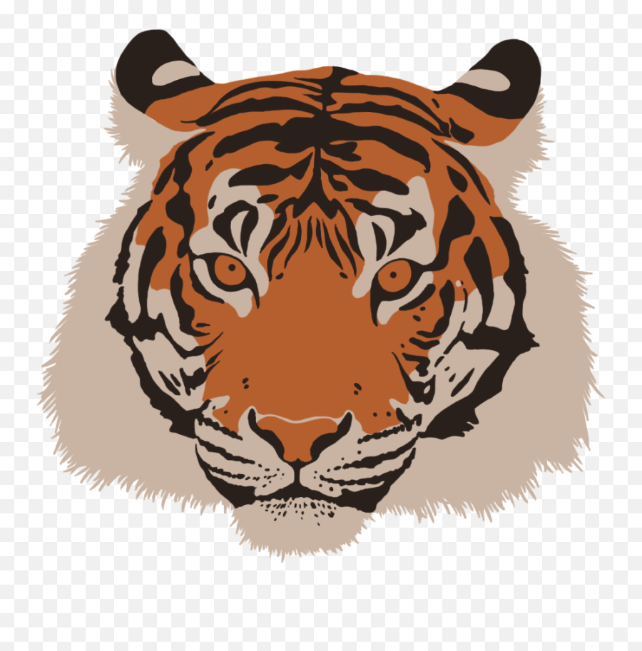 Point Defiance Zoo Aquarium Png Image - Siberian Tiger,Tiger Head Png