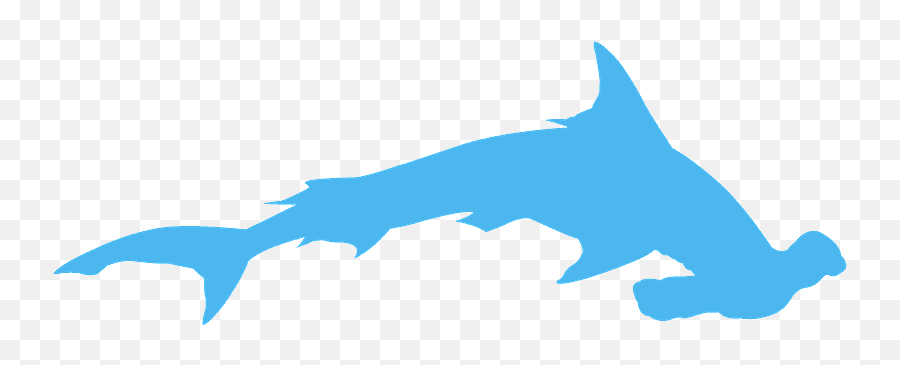 Hammerhead Shark Silhouette - Free Vector Silhouettes Silhouette Png,Shark Silhouette Png