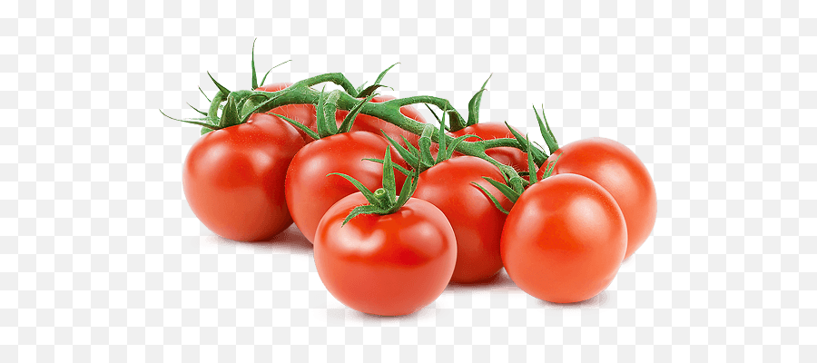 Mucci Farms - Tomato Png,Tomato Slice Png