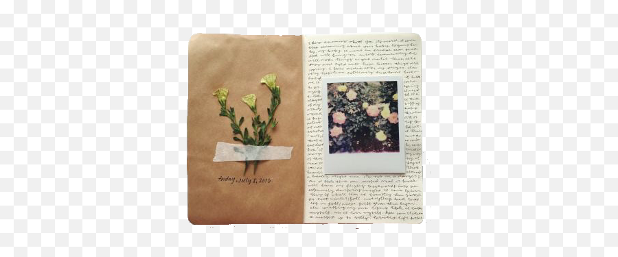 Vintageaesthetic Journal Flower Png Polyvore Vintage - Art Journals,Journal Png
