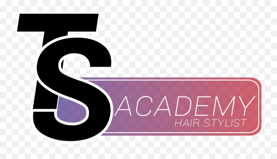 Ts Academy Png Logo