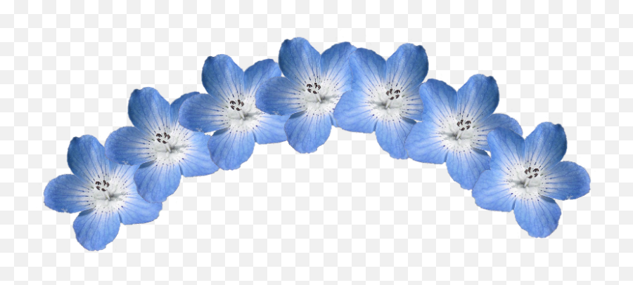 Blue Flower Crown Png Transparent - Hydrangea,Flower Crown Transparent