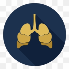 Cancer Icon Myiconfinder - Clip Art Png,Cancer Png