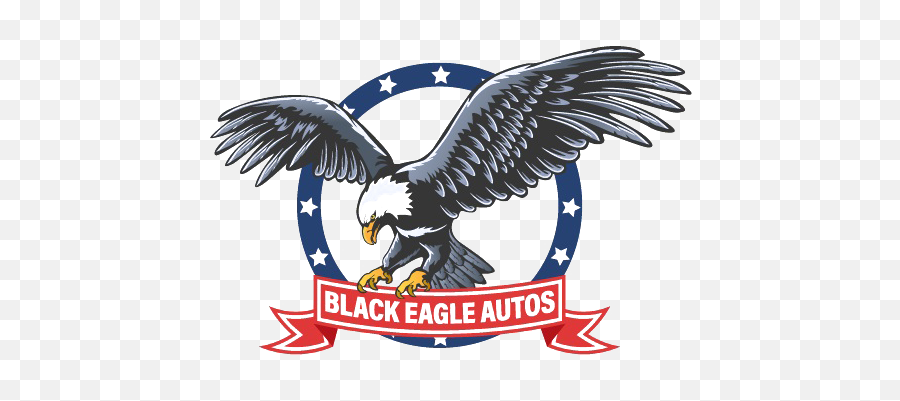 Used Cars Trucks Tx - Eagle Symbol America Png,Eagle Logo Png