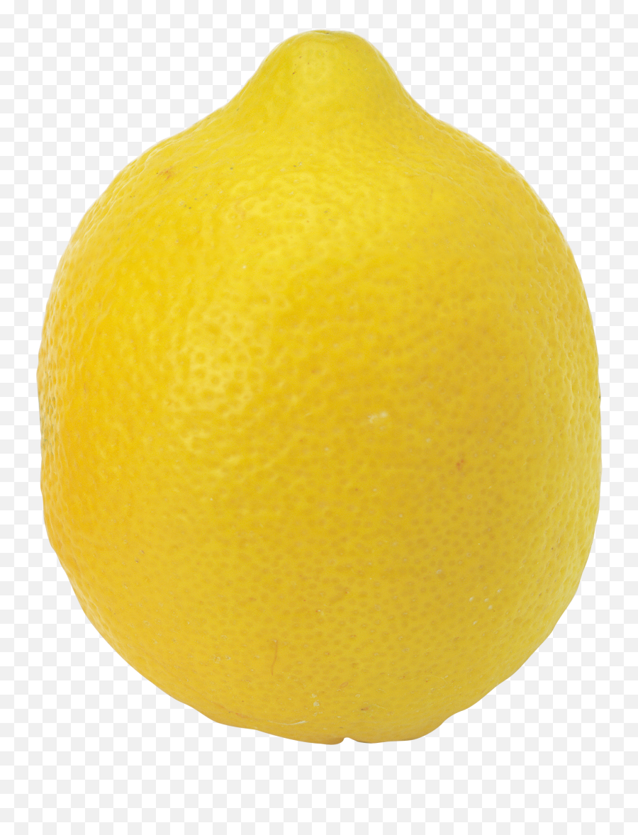 Lemon - Lime Drink Rutaceae Citron Lemon Png Download 1348 Lemon Transparent,Lime Transparent Background