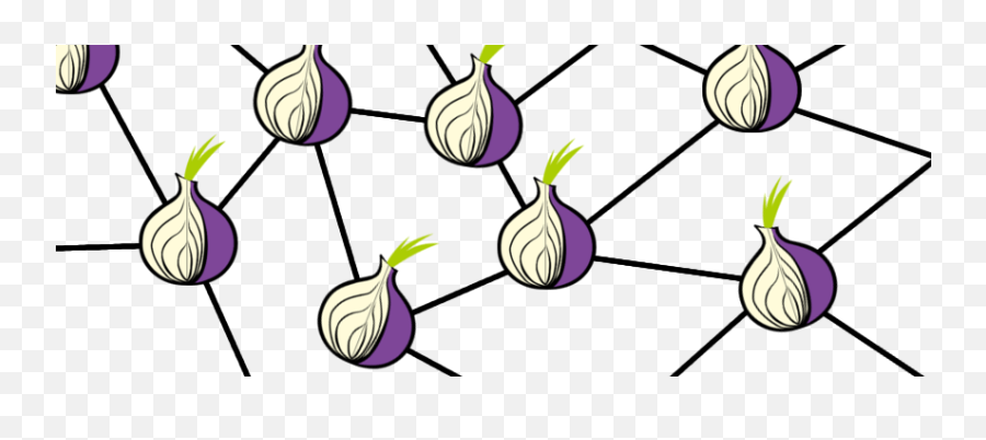 Your Website - Tor Network Png,The Onion Logo