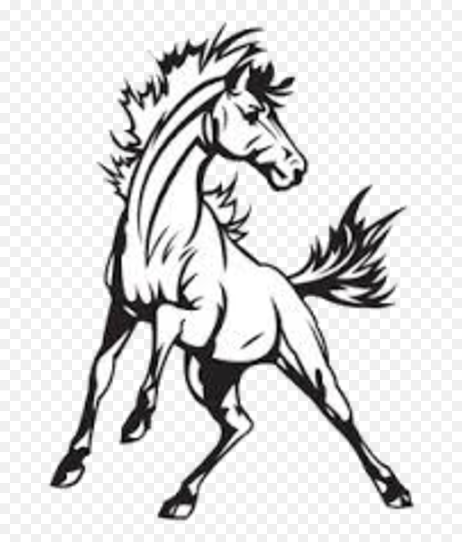 Mascot Drawing Mustang Transparent - Mustang Horse Drawing Png,Mustang Logo Clipart