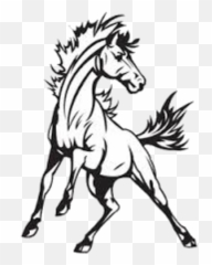 Mascot Drawing Mustang Transparent - Horse Png