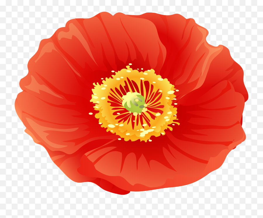 Library Of Free Poppy Flower Clip Art Png Poppies