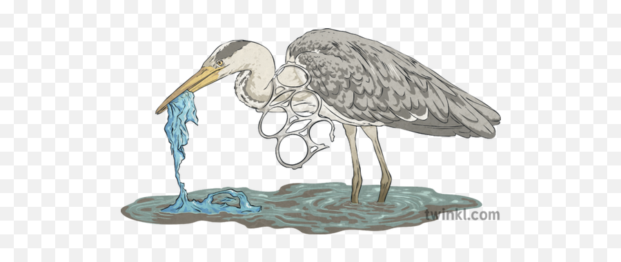 Heron Eating Plastic Bag Can Rings Water Bird Animal Rubbish - Long Png,Heron Icon