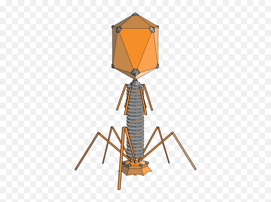 Könlös Förökning - Bacteriophage Png,Palembang Icon Cinemaxx