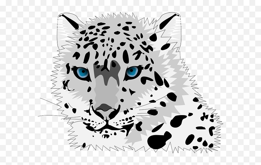 Free Photo Wild Cat Jaguar Cheetah Puma Leopard Logo Icon - Snow Leopard Clipart Png,Leopard Icon