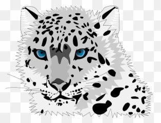 Free Photo Wild Cat Jaguar Cheetah Puma Leopard Logo Icon - Snow Clipart png