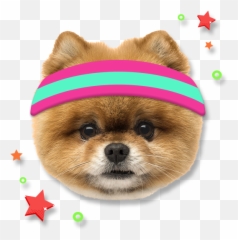 Mike The Knight S1 Ep112 - Dog Clothes Png,Alpha Icon Dog Clothes