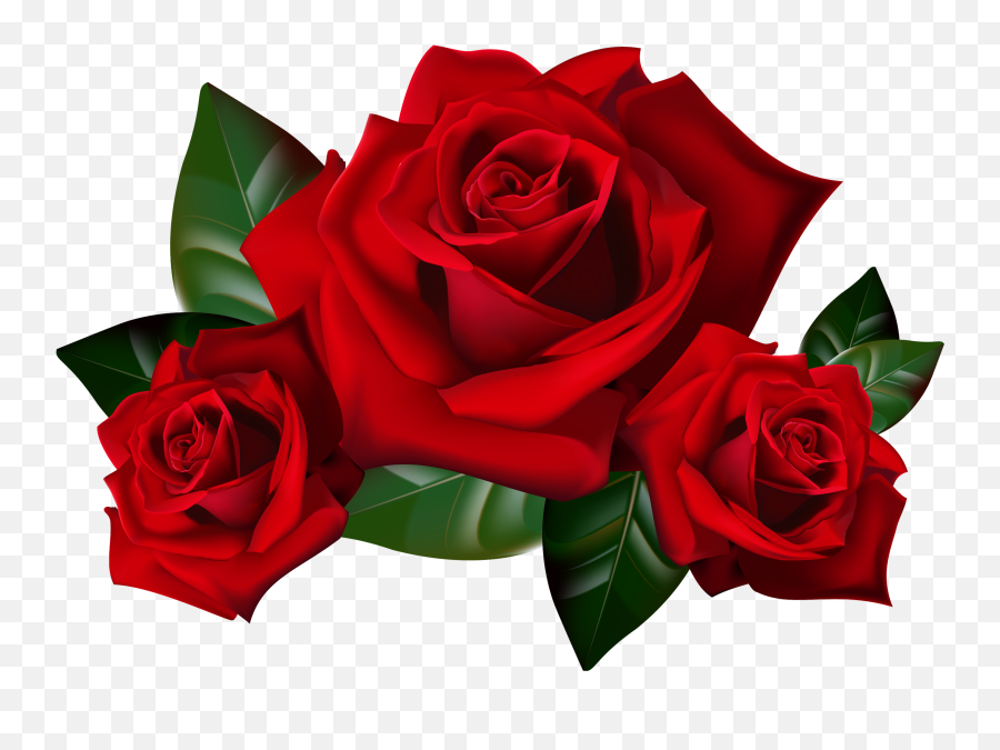Clipart Roses High Resolution - Red Roses Clip Art Png,Real Rose Png