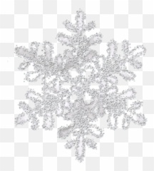 Gray White Snowflake Png Transparent 12 - Real Snowflake Png,White Snowflake Png