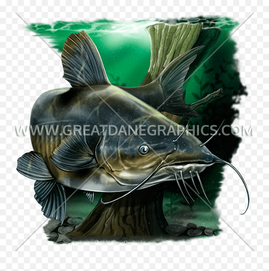 Catfish Blues Production Ready Artwork For T - Shirt Printing Catfish Illustration Png,Catfish Icon