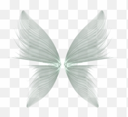 Download Angel Halo Png For Kids - Transparent Background Wing