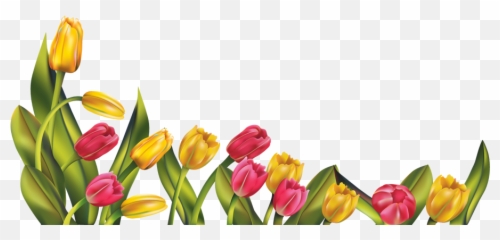 Clipart Borders Tulip Transparent - Free Clip Art Spring Flower Borders Png,Tulip Transparent