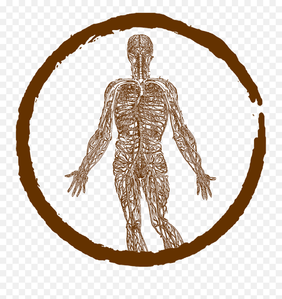 Sanctuary Holistic Medicine Png Nervous Icon