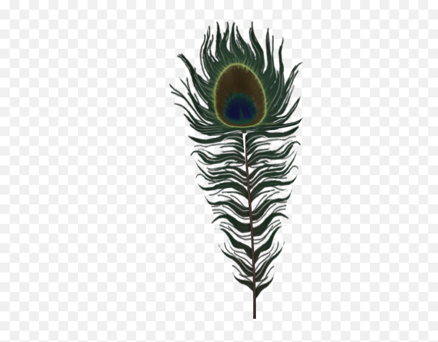 Playstation 3 - Littlebigplanet Peacock Feather The Png,Peacock Feather Icon