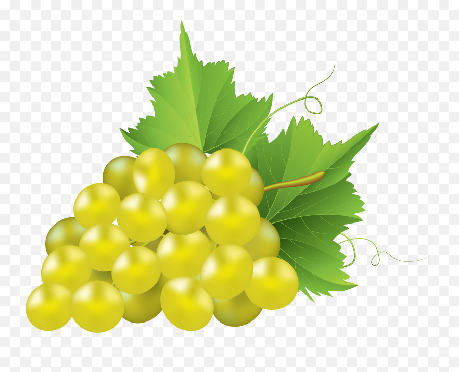 White Grapes Clip Library Png Files - White Grape Png,Grapes Png