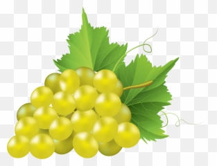 White Grapes Clip Library Png Files - White Grape Png,Grapes Png